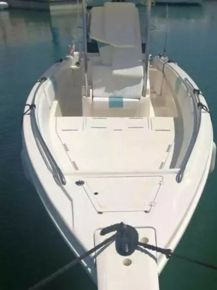 tiger 27 open4
