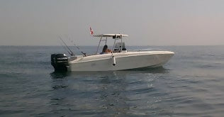 Laguna 31 open 06
