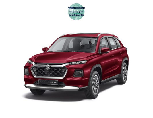Suzuki vitara 01